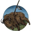 2-Bison